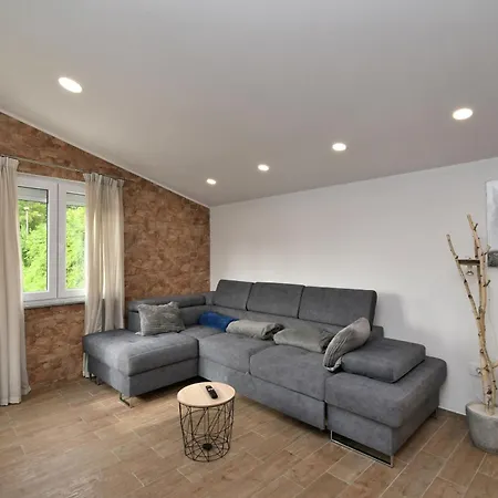 Apartments Plomin *